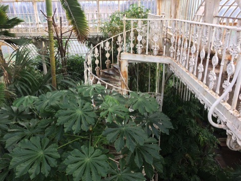 Kew Gardens Pal House walkway